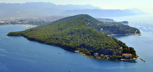 Pine-forest trail on Marjan hill above Split
